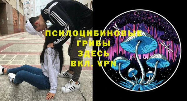 мдпв Вяземский