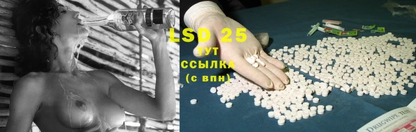 мдпв Вяземский