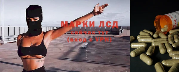 эйфоретик Вязьма