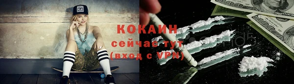 мдпв Вяземский