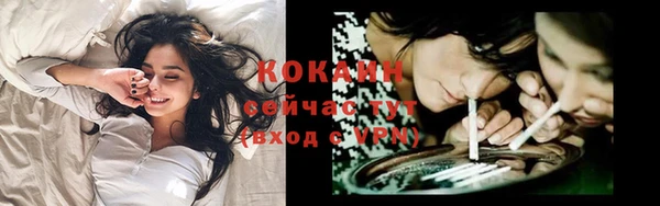 мдпв Вяземский