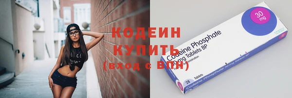 мдпв Вяземский