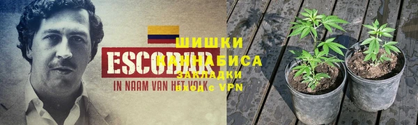мдпв Вяземский