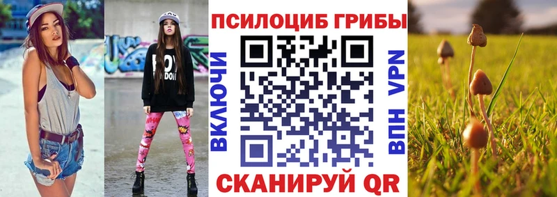 Псилоцибиновые грибы мицелий  Горячий Ключ 