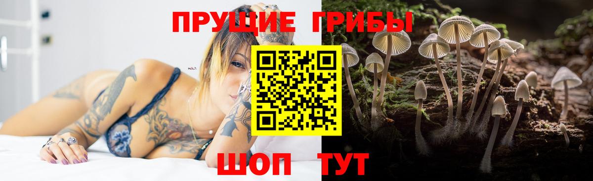 как найти закладки  Псилоцибиновые грибы GOLDEN TEACHER  Вход с VPN  Горячий Ключ 